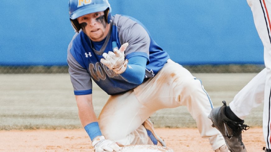 The college baseball team shattering HBP records is playing for the D-III World Series